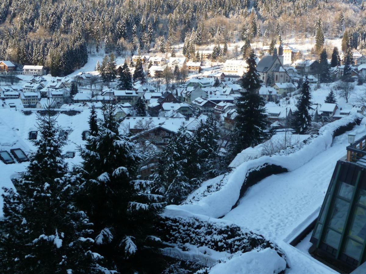Haus Dachsberg Todtmoos Appartement Buitenkant foto