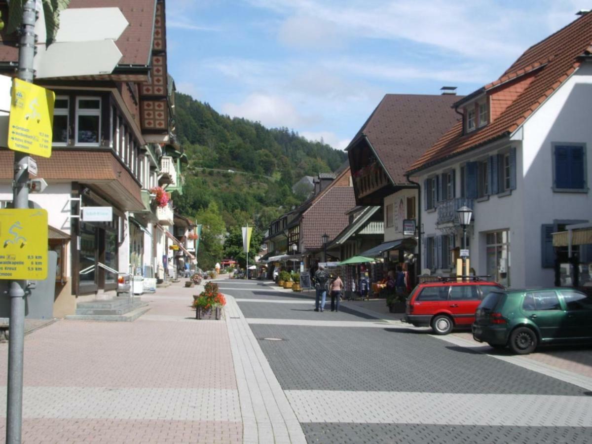 Haus Dachsberg Todtmoos Appartement Buitenkant foto
