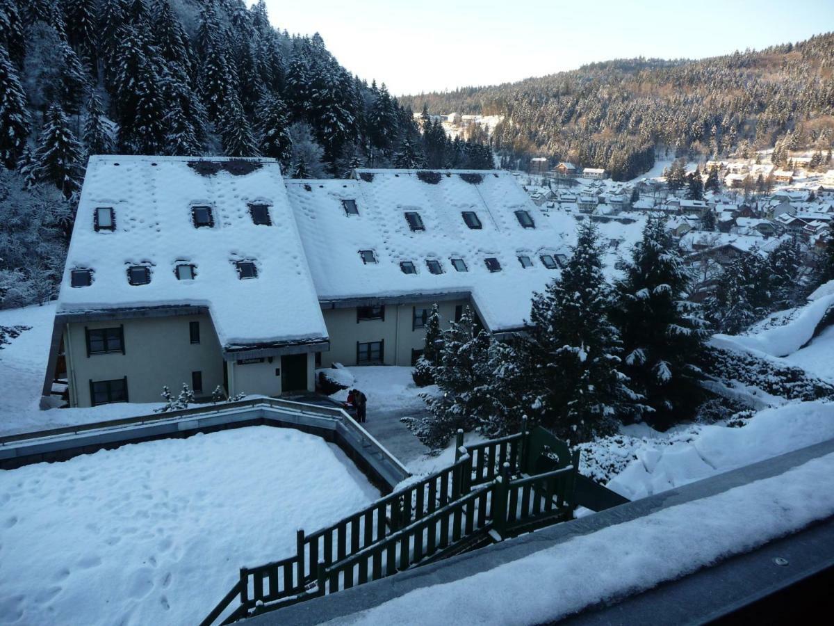 Haus Dachsberg Todtmoos Appartement Buitenkant foto